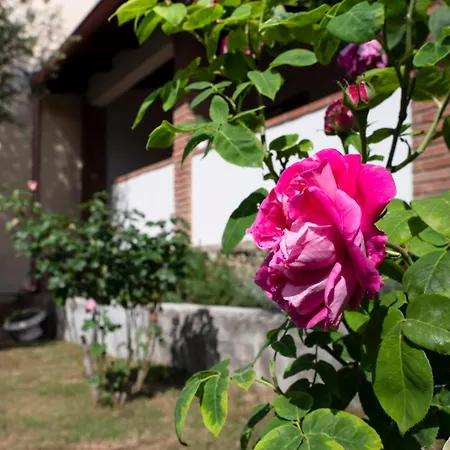 Casa Di Elena - Иглесиас