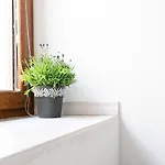 Casa Di Elena - Holiday home Iglesias